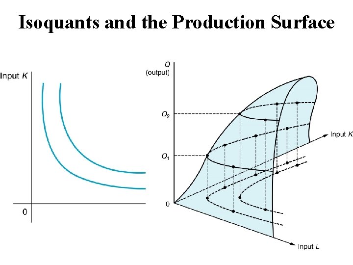 Isoquants and the Production Surface 