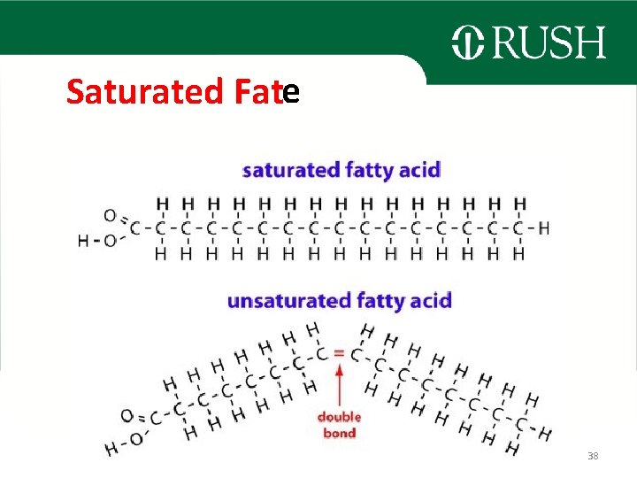 Saturated Fate 38 