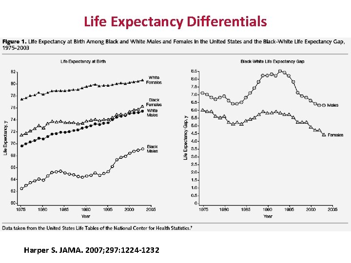 Life Expectancy Differentials Harper S. JAMA. 2007; 297: 1224 -1232 