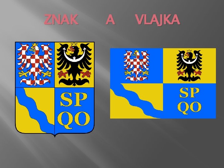 ZNAK A VLAJKA 