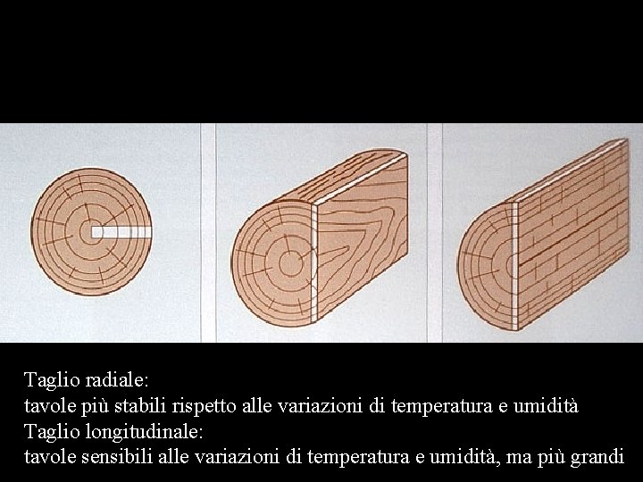 Taglio radiale: tavole più stabili rispetto alle variazioni di temperatura e umidità Taglio longitudinale: