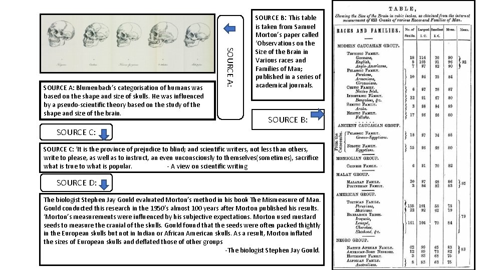 SOURCE A: Blumenbach’s categorisation of humans was based on the shape and size of SOURCE A: Blumenbach’s categorisation of humans was based on the shape and size of