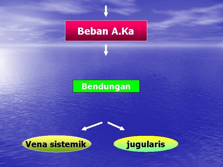 Beban A. Ka Bendungan Vena sistemik jugularis 