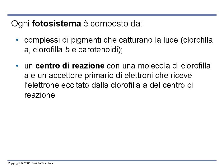 Ogni fotosistema è composto da: • complessi di pigmenti che catturano la luce (clorofilla