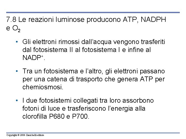 7. 8 Le reazioni luminose producono ATP, NADPH e O 2 • Gli elettroni