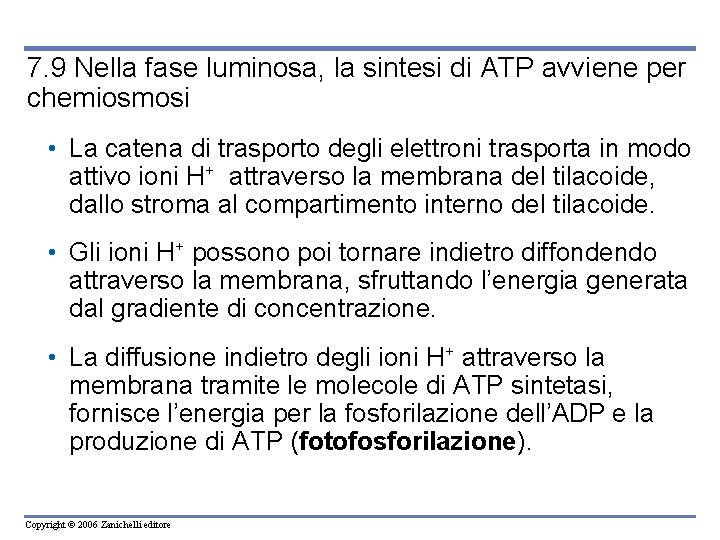 7. 9 Nella fase luminosa, la sintesi di ATP avviene per chemiosmosi • La
