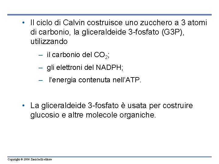  • Il ciclo di Calvin costruisce uno zucchero a 3 atomi di carbonio,