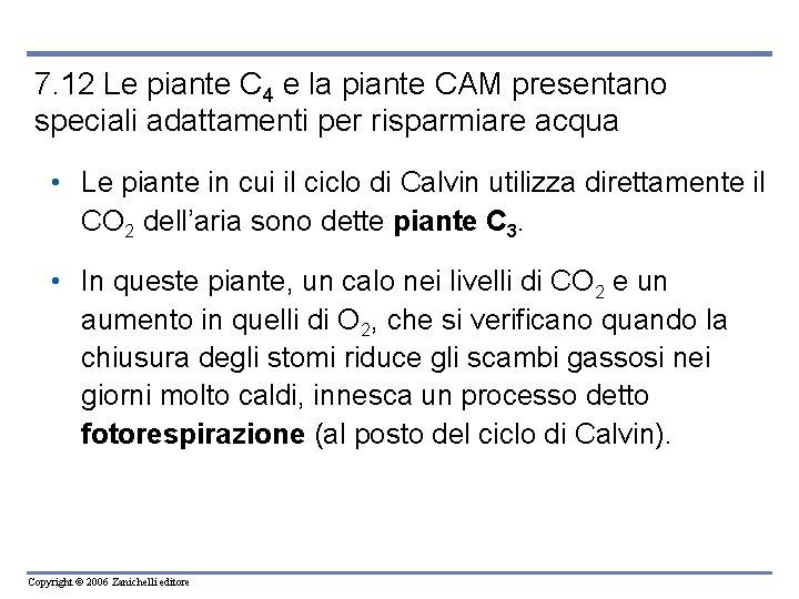 7. 12 Le piante C 4 e la piante CAM presentano speciali adattamenti per