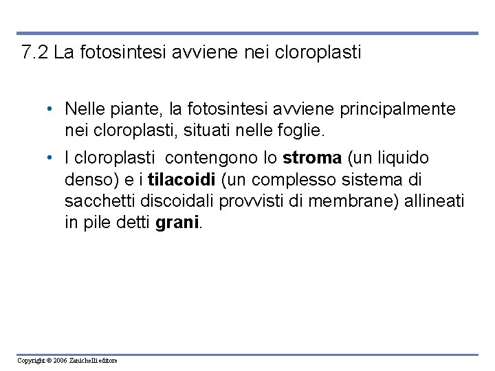 7. 2 La fotosintesi avviene nei cloroplasti • Nelle piante, la fotosintesi avviene principalmente