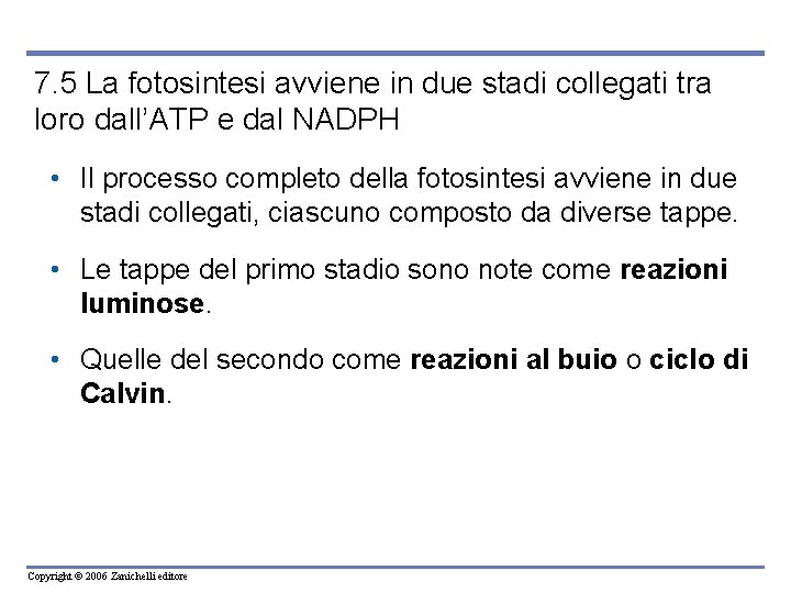 7. 5 La fotosintesi avviene in due stadi collegati tra loro dall’ATP e dal