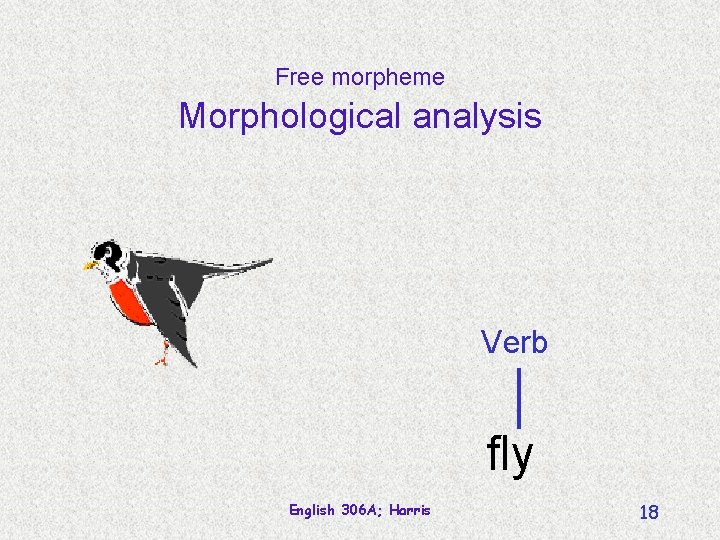 Free morpheme Morphological analysis Verb fly English 306 A; Harris 18 