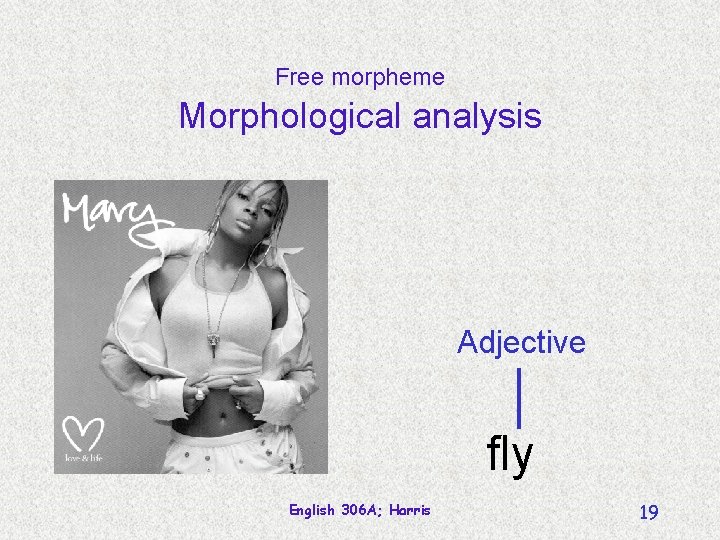 Free morpheme Morphological analysis Adjective fly English 306 A; Harris 19 