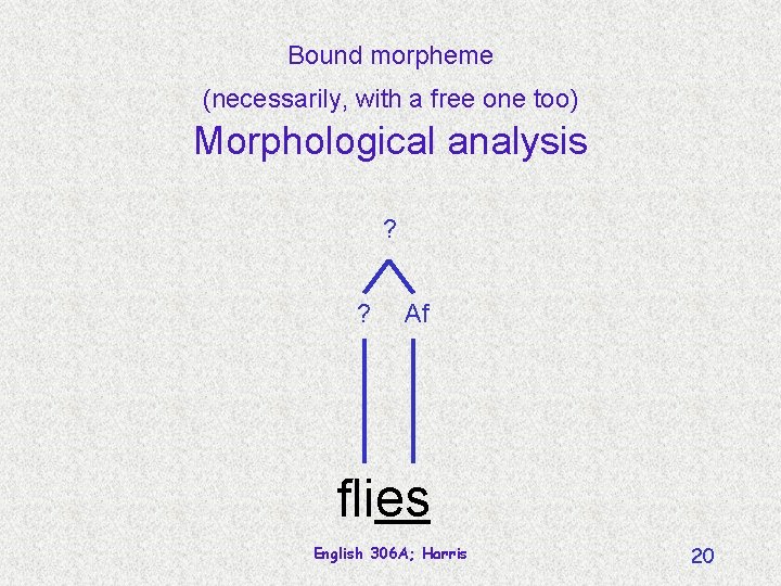 Bound morpheme (necessarily, with a free one too) Morphological analysis ? ? Af flies