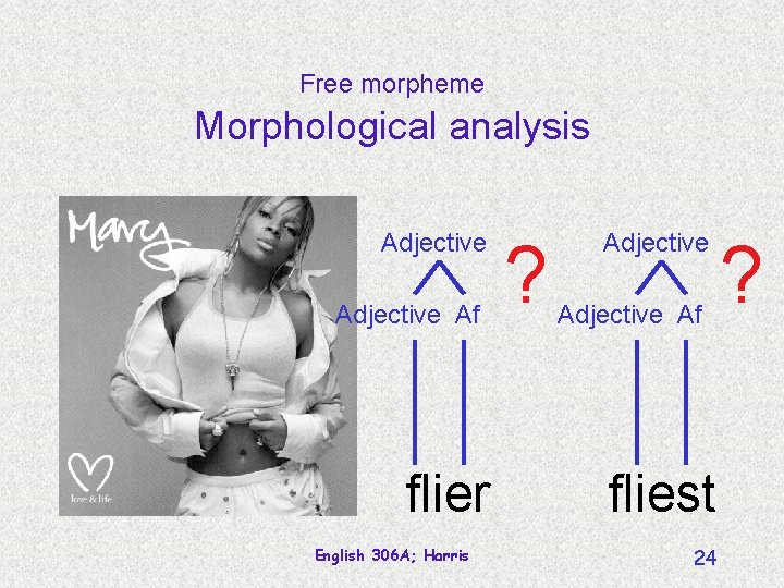Free morpheme Morphological analysis Adjective Af flier English 306 A; Harris ? Adjective Af