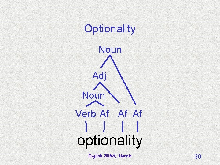 Optionality Noun Adj Noun Verb Af Af Af optionality English 306 A; Harris 30