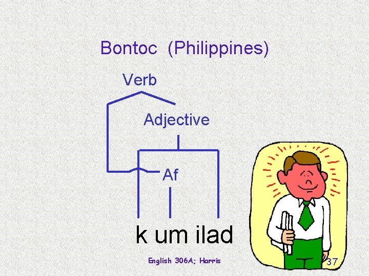 Bontoc (Philippines) Verb Adjective Af k um ilad English 306 A; Harris 37 