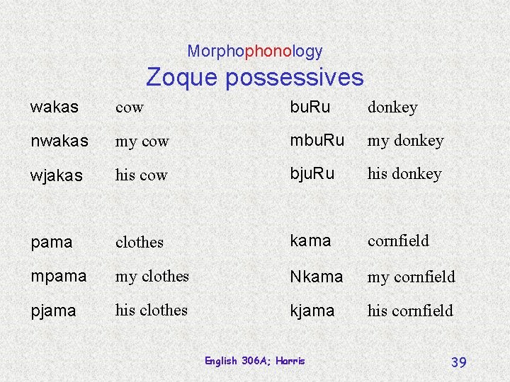 Morphophonology Zoque possessives wakas cow bu. Ru donkey nwakas my cow mbu. Ru my