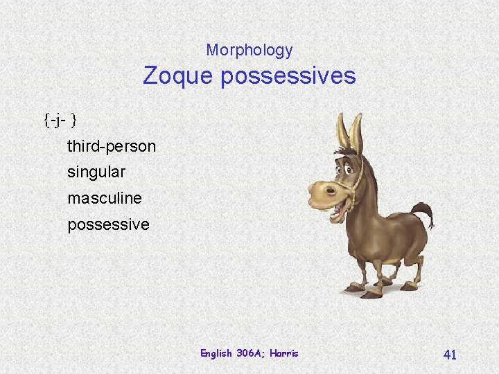 Morphology Zoque possessives {-j- } third-person singular masculine possessive English 306 A; Harris 41