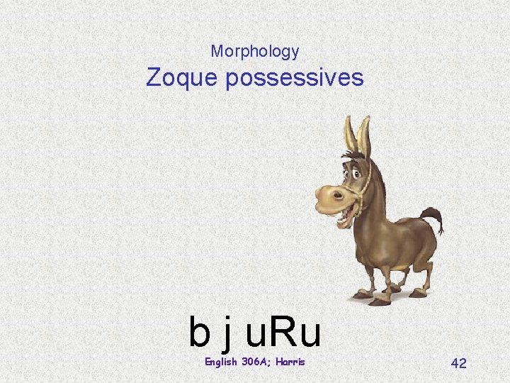 Morphology Zoque possessives b j u. Ru English 306 A; Harris 42 