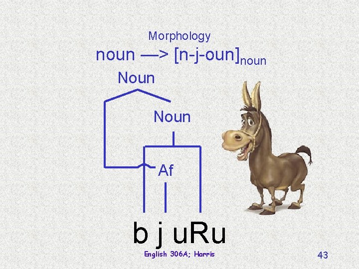 Morphology noun —> [n-j-oun]noun Noun Af b j u. Ru English 306 A; Harris