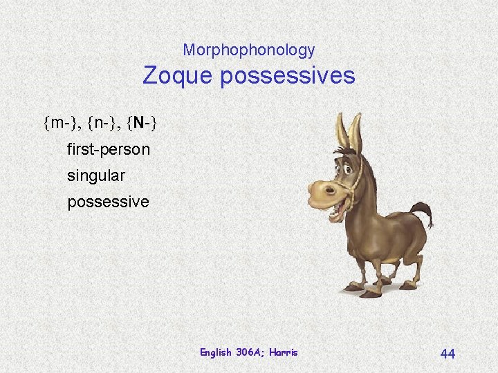 Morphophonology Zoque possessives {m-}, {n-}, {N-} first-person singular possessive English 306 A; Harris 44