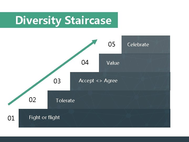 Diversity Staircase 05 04 03 02 01 Tolerate Fight or flight Value Accept <>