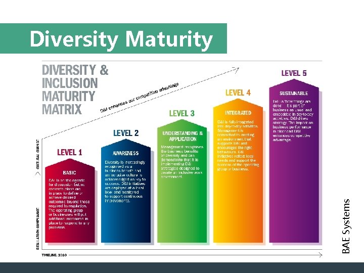 BAE Systems Diversity Maturity 