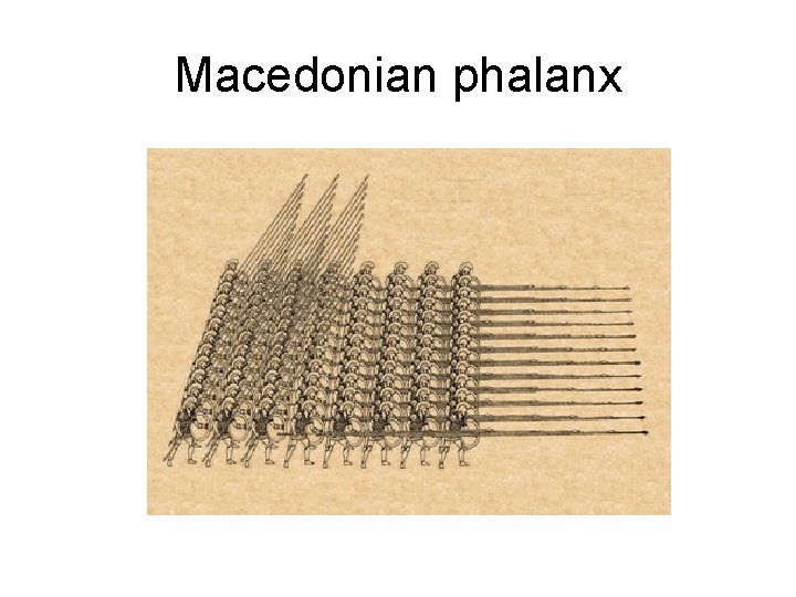 Macedonian phalanx 