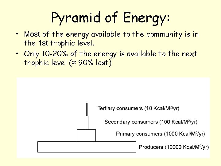 Pyramid of Energy: • Most of the energy available to the community is in