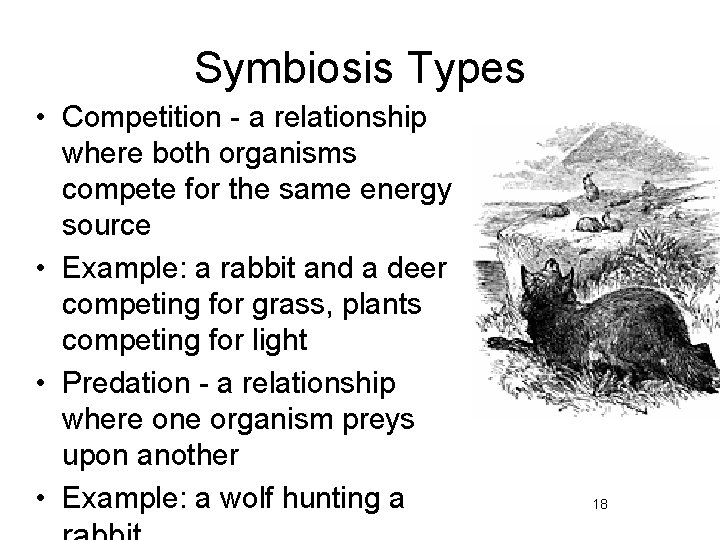 Symbiosis Types • Competition - a relationship where both organisms compete for the same