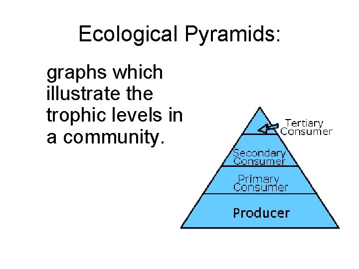 Ecological Pyramids: graphs which illustrate the trophic levels in a community. 