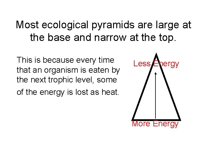 Most ecological pyramids are large at the base and narrow at the top. This