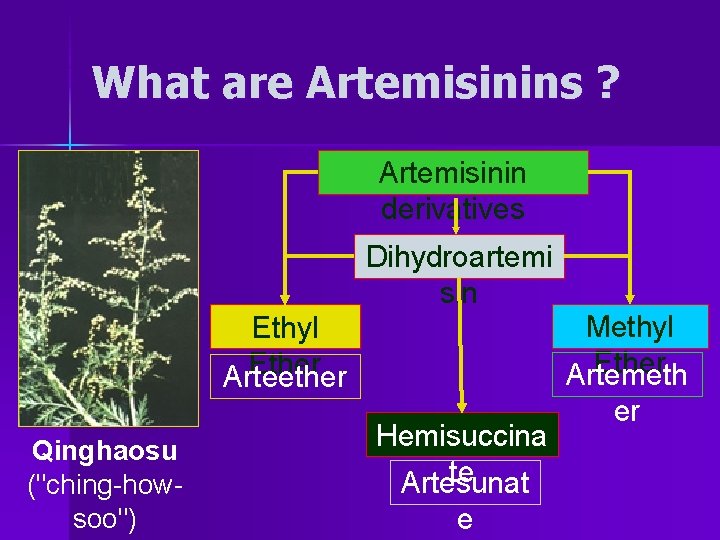 What are Artemisinins ? Artemisinin derivatives Dihydroartemi sin Methyl Ether Artemeth Ethyl Ether Arteether