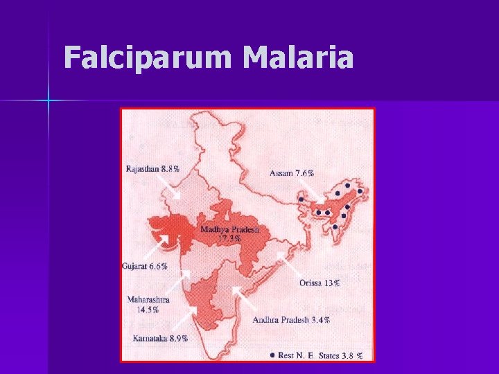 Falciparum Malaria 