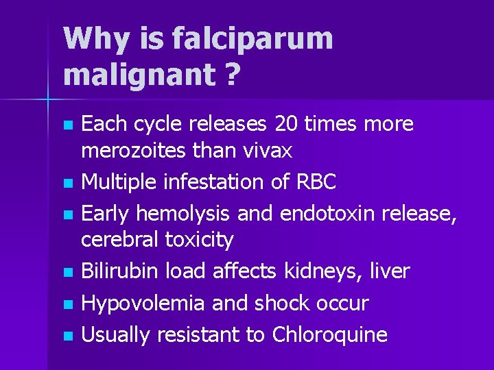 Why is falciparum malignant ? Each cycle releases 20 times more merozoites than vivax