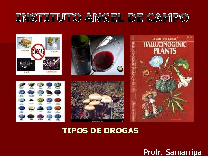 INSTITUTO ÁNGEL DE CAMPO TIPOS DE DROGAS Profr. Samarripa 