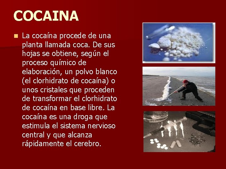 COCAINA n La cocaína procede de una planta llamada coca. De sus hojas se