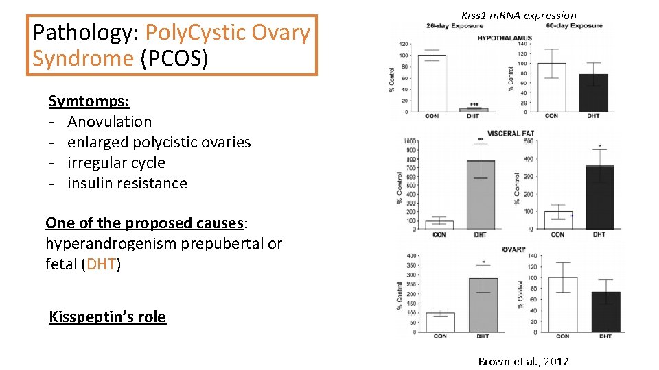 Pathology: Poly. Cystic Ovary Syndrome (PCOS) Kiss 1 m. RNA expression Symtomps: - Anovulation