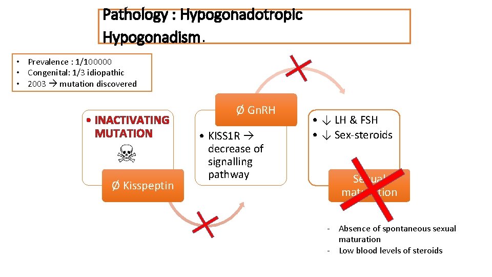 Pathology : Hypogonadotropic Hypogonadism. • Prevalence : 1/100000 • Congenital: 1/3 idiopathic • 2003