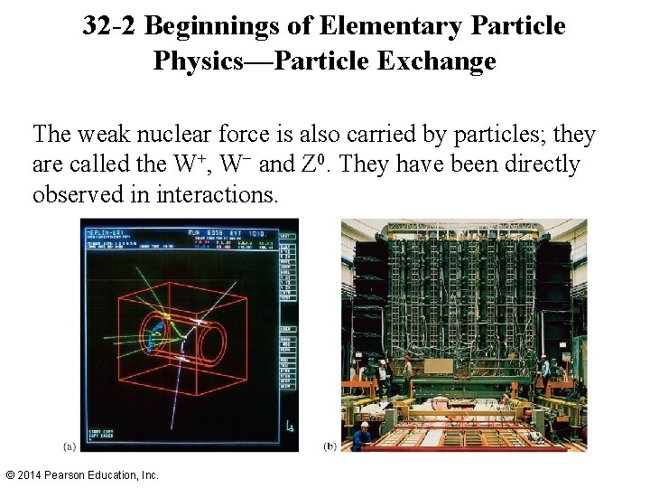 32 -2 Beginnings of Elementary Particle Physics—Particle Exchange The weak nuclear force is also