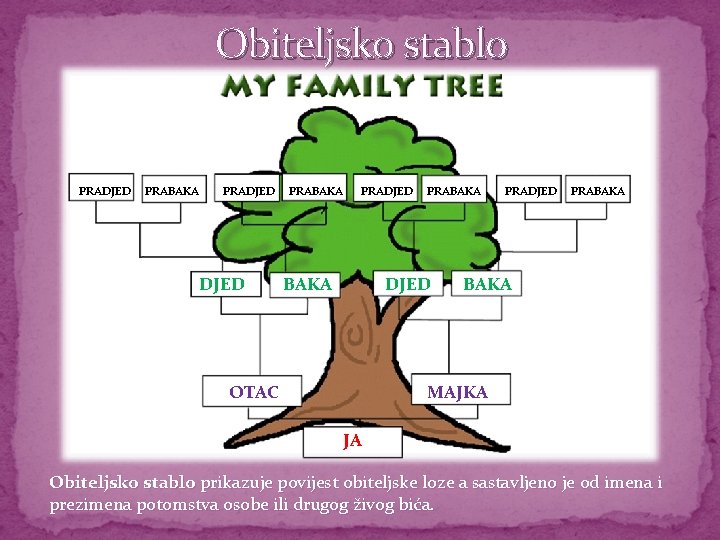 Obiteljsko stablo PRADJED PRABAKA PRADJED BAKA PRABAKA DJED OTAC PRADJED PRABAKA MAJKA JA Obiteljsko