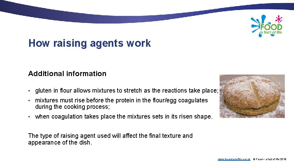 How raising agents work Additional information • gluten in flour allows mixtures to stretch