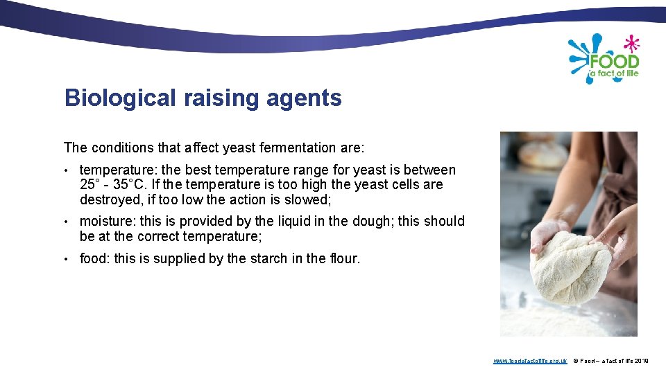 Biological raising agents The conditions that affect yeast fermentation are: • temperature: the best