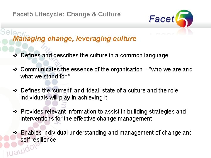 Facet 5 Lifecycle: Change & Culture Managing change, leveraging culture v Defines and describes