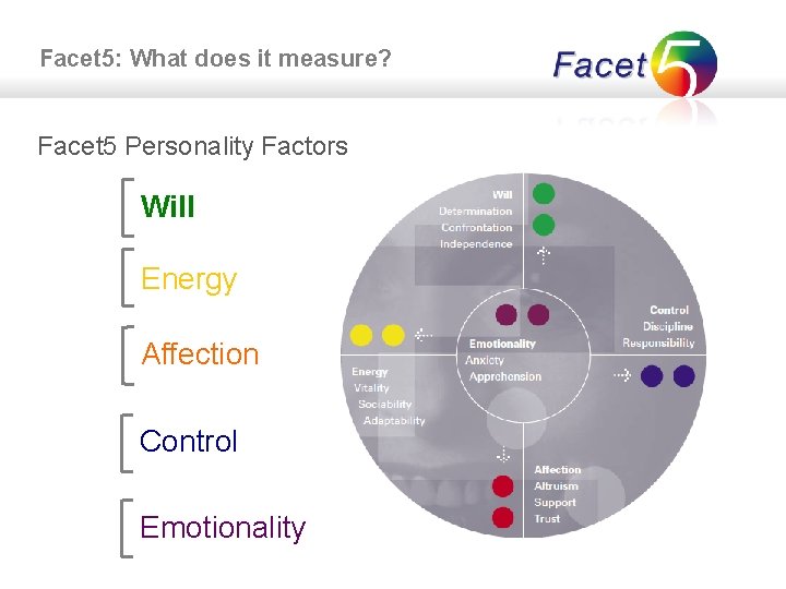 Facet 5: What does it measure? Facet 5 Personality Factors Will Energy Affection Control