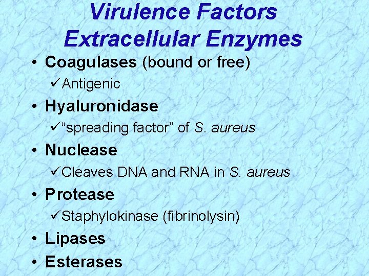 Virulence Factors Extracellular Enzymes • Coagulases (bound or free) Antigenic • Hyaluronidase “spreading factor”