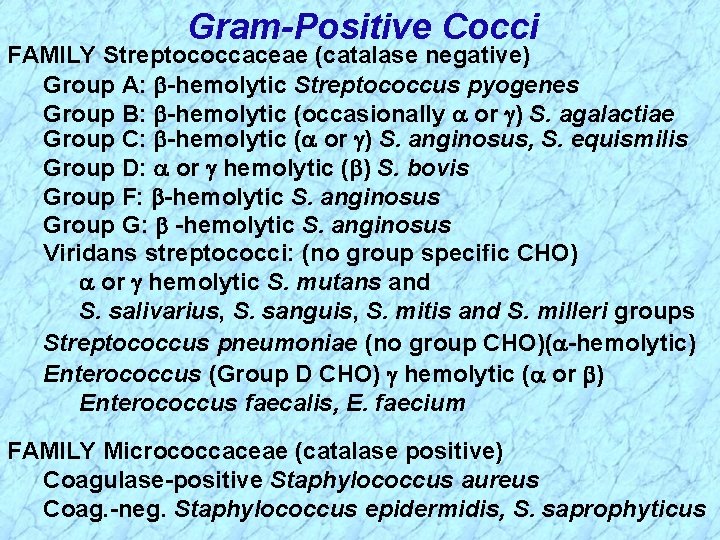 Gram-Positive Cocci FAMILY Streptococcaceae (catalase negative) Group A: -hemolytic Streptococcus pyogenes Group B: -hemolytic