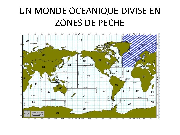 UN MONDE OCEANIQUE DIVISE EN ZONES DE PECHE 
