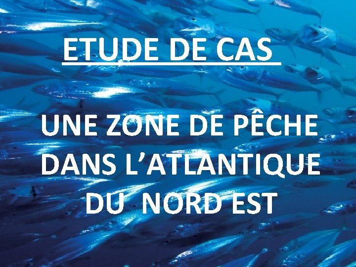 ETUDE DE CAS UNE ZONE DE PÊCHE DANS L’ATLANTIQUE DU NORD EST 