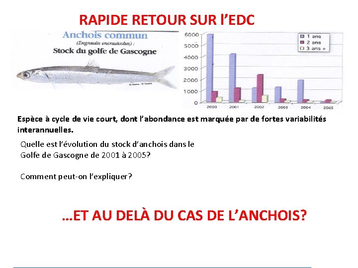 RAPIDE RETOUR SUR l’EDC Espèce à cycle de vie court, dont l’abondance est marquée